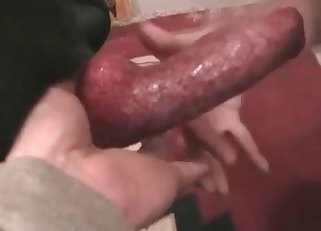 Kinky teen fucking a horny dog