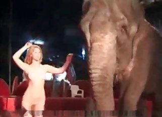 Elephant is about to fuck a naked girl