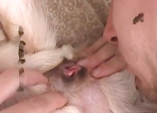 Gorgeous blowjob for my lovely animal