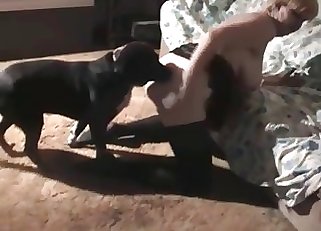 Big-tit woman is enjoying her dogs