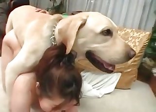 Nasty bestiality action for a female and a horny doggo