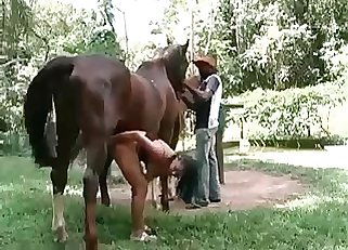 Horse is having fun with a farmer and his wife