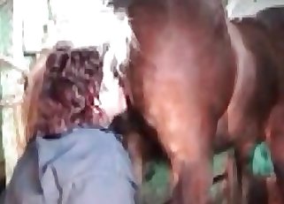 Filthy lady giving a rim job to a handsome horse