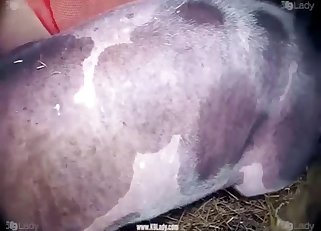 Crazy pig fucked her hungry twat on the cam