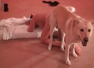 She is going mad about this puppy's dick