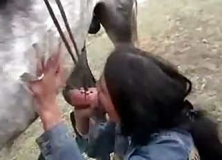 Fully-dressed chick teasing a horse