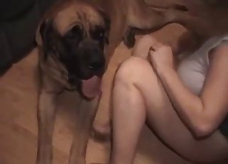 Skirt-wearing Cougar is about to fuck a dog