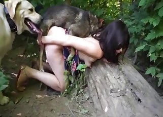 Playful dog adores bestiality sex