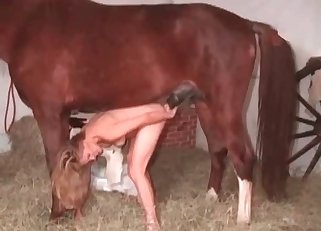 Amazingly passionate bestiality