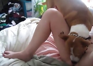 A girl is getting goodly fucked by her dog