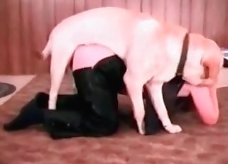 Dude gets destroyed by a horny dog