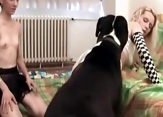 This is dog is ready to fuck
