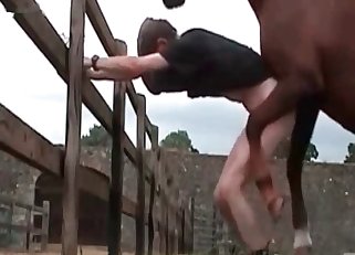 Gay guy fucking with a hung horse