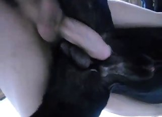 Sticking my white penis in a black doggy's ass