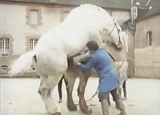 Frau bumst pferd