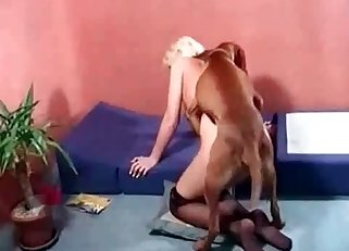 Impressive animal sex action with dog