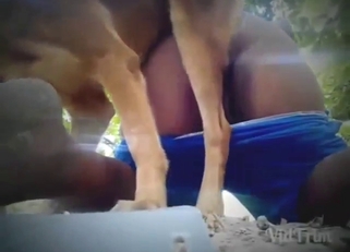 He is going to get his booty blasted by a dog