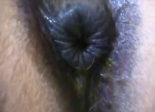 Having sex with slutty horses is the hottest