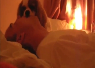 White bed fuck with a dog riding his hard peen