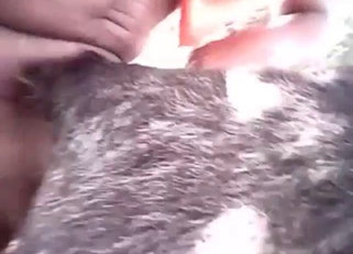 Donkey has a super-hot pussy, it gets fucked