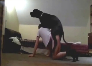 Zoo sex scene with a guy who fucks a black dog