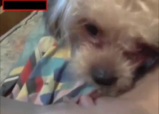 Blond-haired cutie is happy to feed her dog pussy