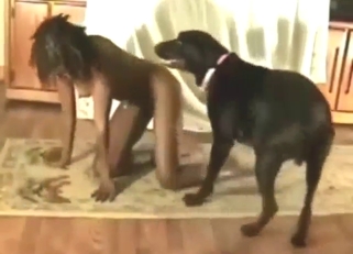 Real zoo XXX with a horny black girl taking it