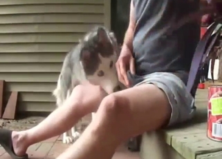 Husky