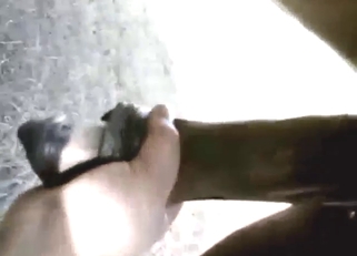 Horse asshole is blasted by a sexy, large toy