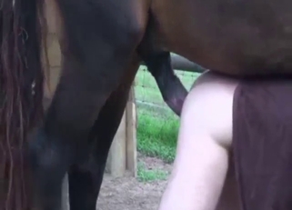 Tight zoophilic hole fucked outside by horse