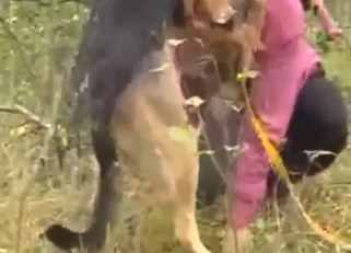 Dog enjoying the spotlight as we see hot teasing