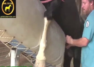 Behind-the-scenes heat with a mare pussy