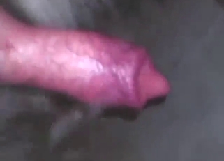 Red dick of a dog is pleased by a horny dude