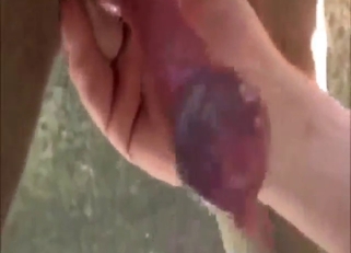 Zoo sex shown up close and all musky too