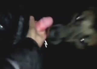 獣