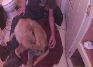 Hot pussy animal is going to be used with toys