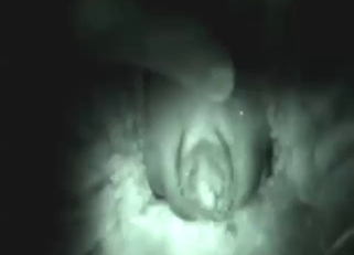 Hard cock invades a mare's hot pussy today