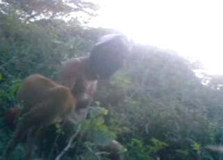 Streetwise fuck with a dude banging a dog