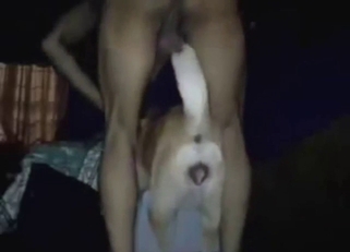 Juicy pussy of a dog getting fingered and more