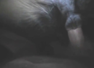 Doggy is going to love fingering and fucking