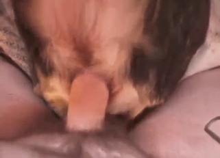 Anal fuck with lots of close-ups, moaning, etc.