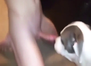 Dude is going to fuck a dog and cum inside