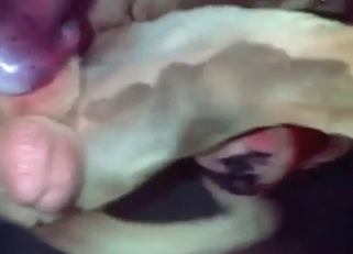 Bestiality sex with a hairy ass getting fucked