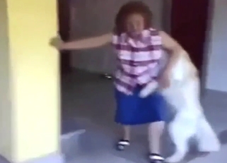 Chubby older gal is about to get dog-fucked hard