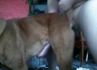 Dog's bone getting sucked on cam