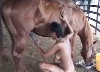 Latina impaled by a hardcore horse
