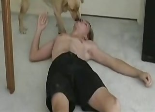 Dude zoophile and his doggy enjoying bestiality