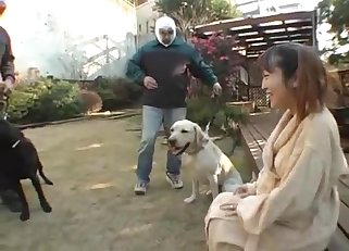 Asian chick is enjoying bestiality dog sex