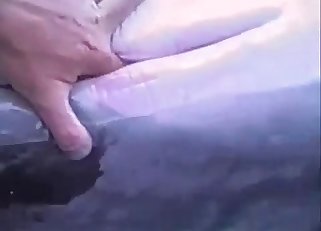 Awesome bestiality sex with a Dolphin