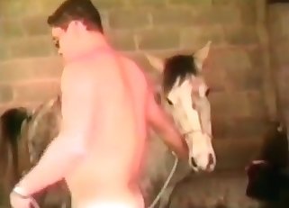 Horse in a sizzling hot threesome